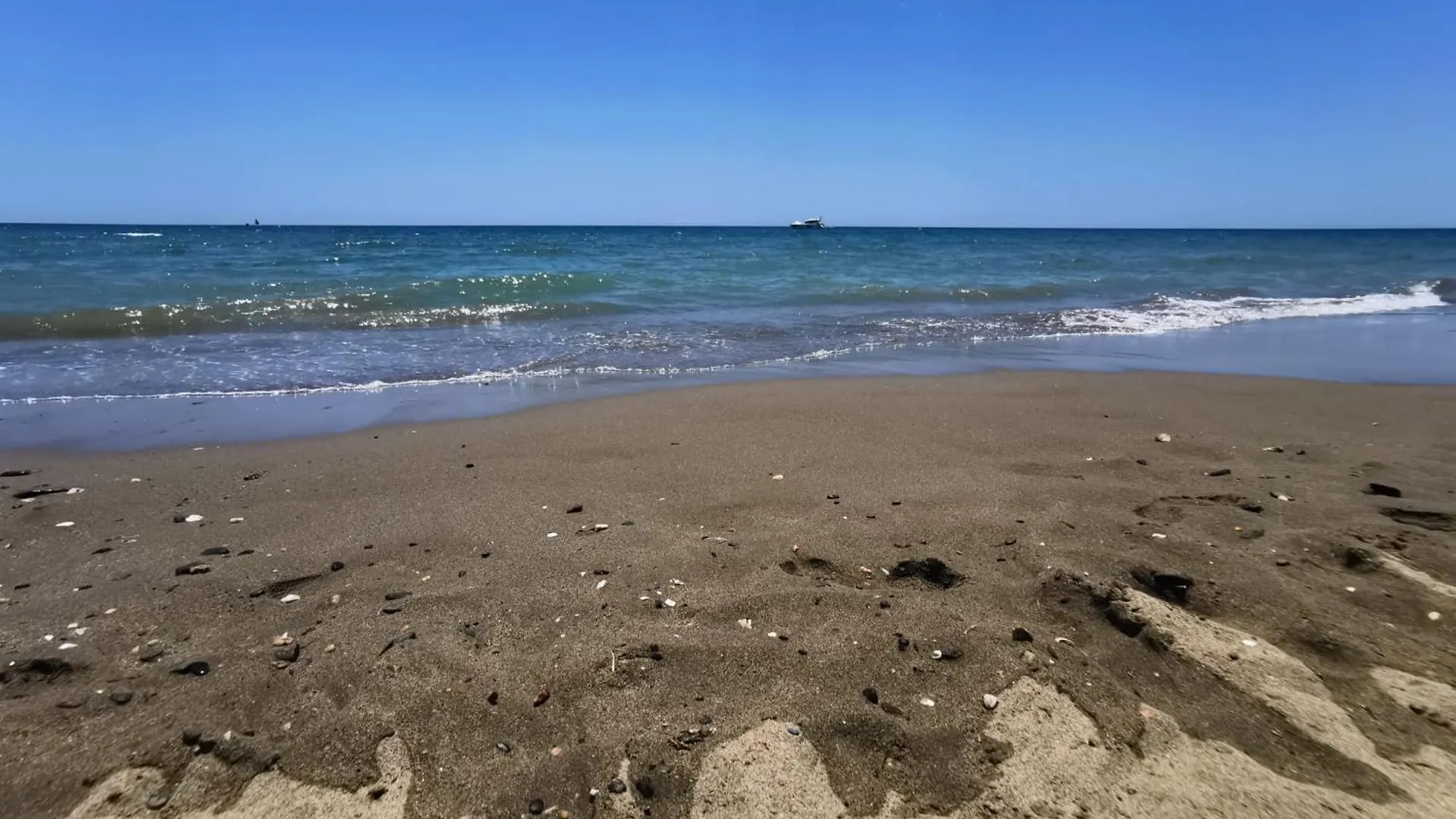 Las Olas Carpe Diem Marbella location