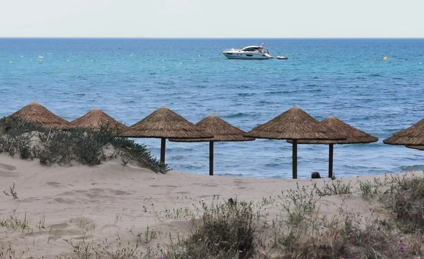 Las Olas Carpe Diem Marbella Apartment